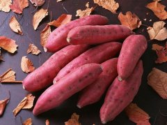 ʷ����ǿ����ʳ�� ���а�